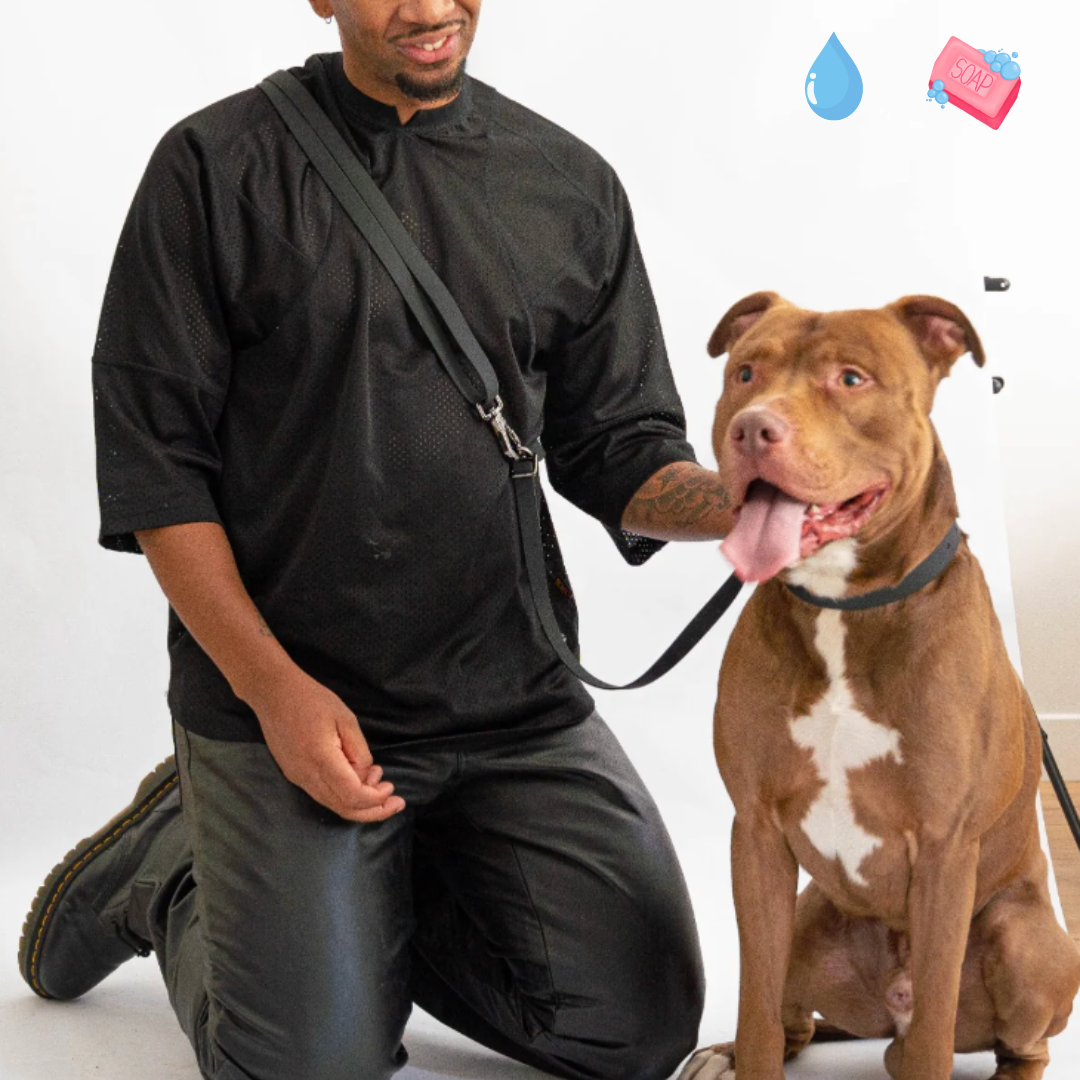 Laisse réglable & mains libres