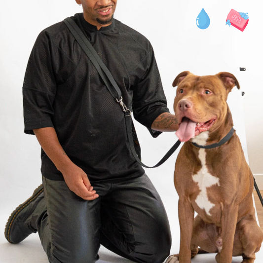 Laisse réglable & mains libres