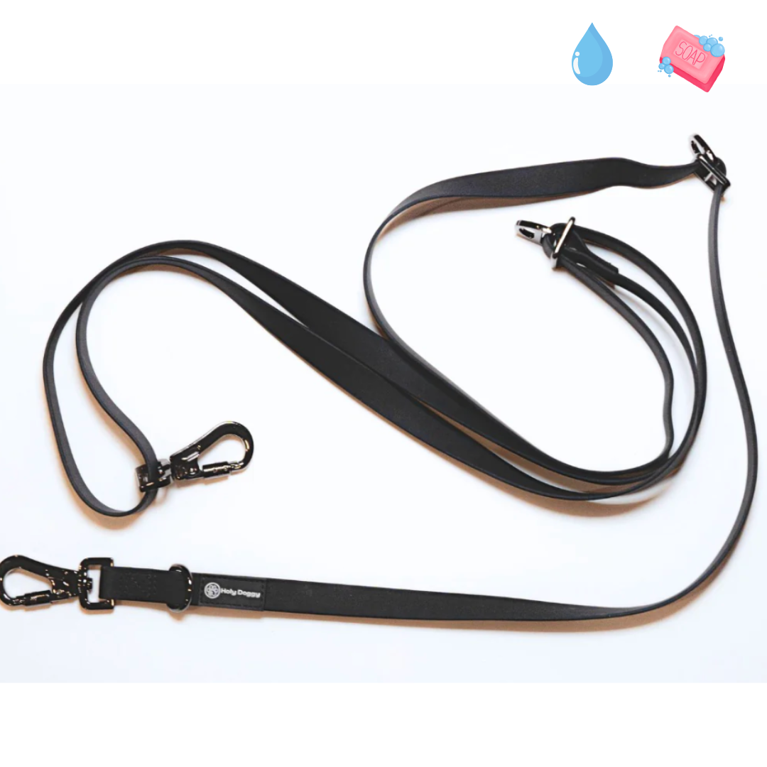 Laisse réglable & mains libres