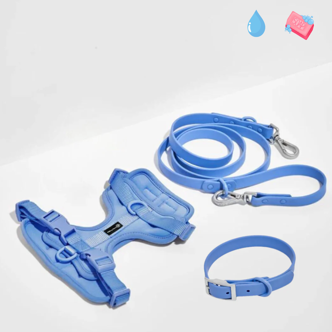 Laisse, harnais & collier