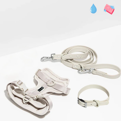 Laisse, harnais & collier